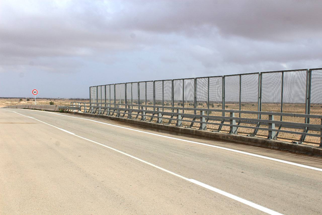 t12.jpg