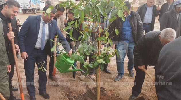 عيد الشجرة 4.jpg