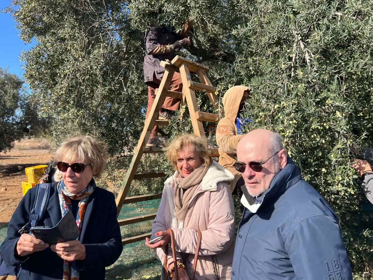 WhatsApp Image 2025-11-22 at 12.21.46.jpeg