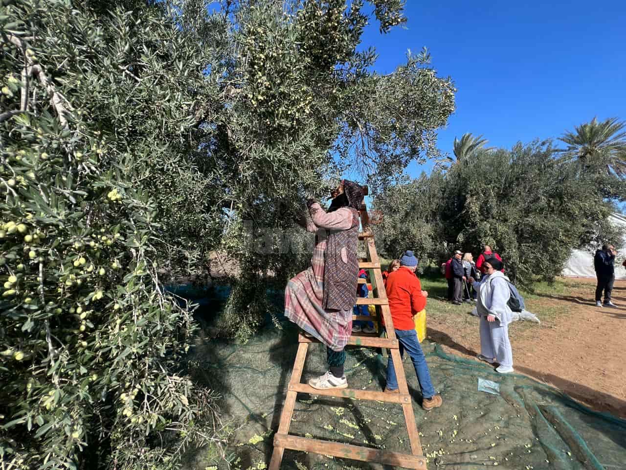 WhatsApp Image 2025-11-22 at 12.21.47 (3).jpeg