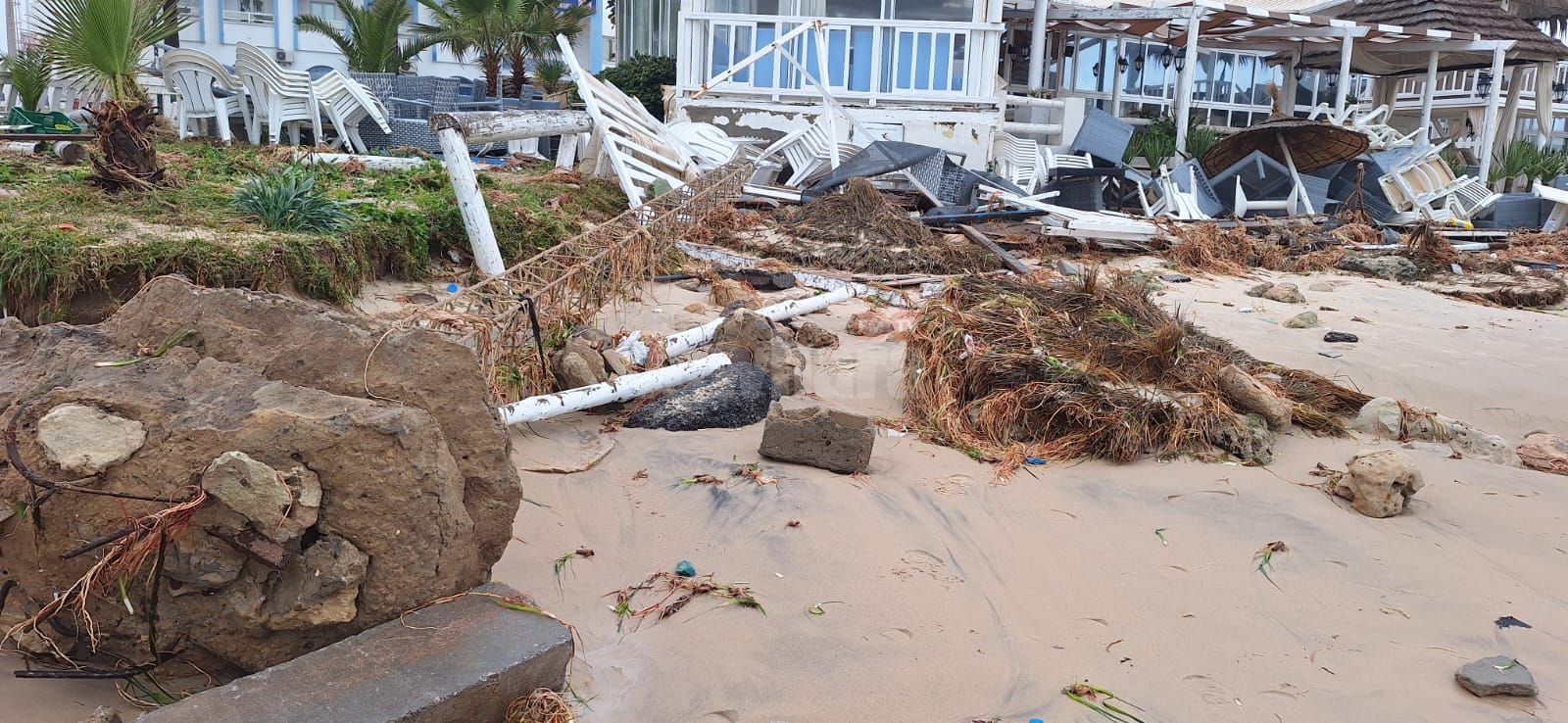 WhatsApp Image 2026-01-21 at 10.53.29 (1).jpeg