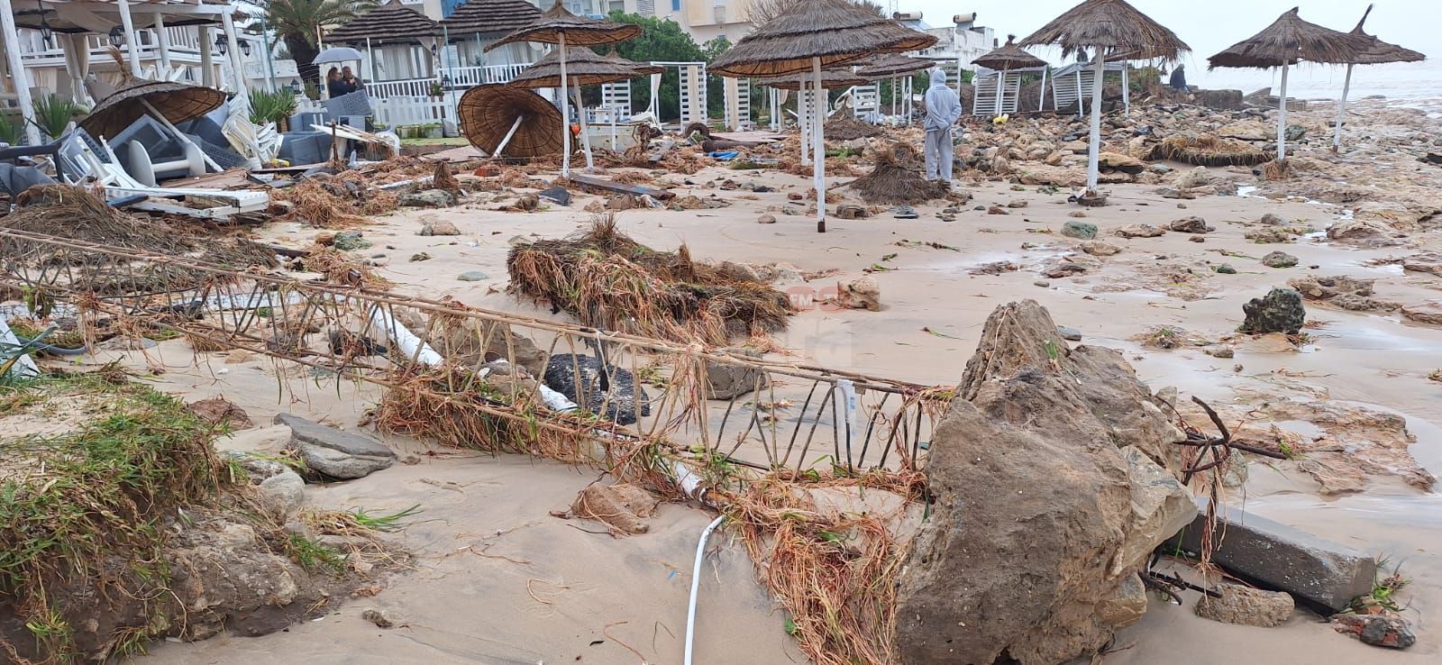 WhatsApp Image 2026-01-21 at 10.53.29 (4).jpeg