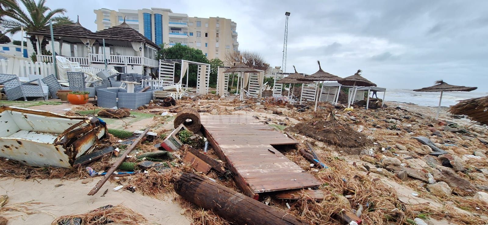 WhatsApp Image 2026-01-21 at 10.53.29.jpeg