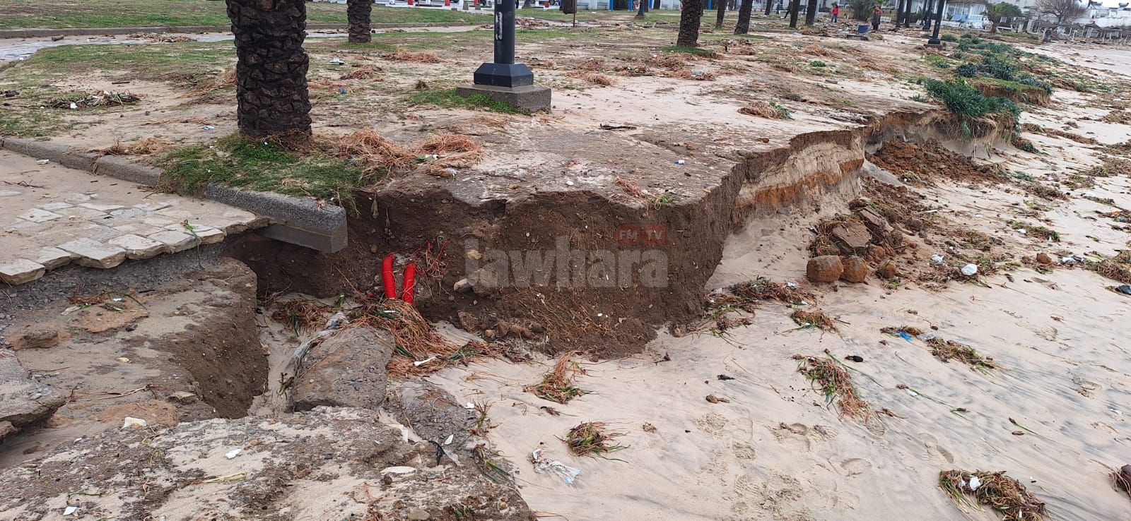 WhatsApp Image 2026-01-21 at 10.53.30 (1).jpeg