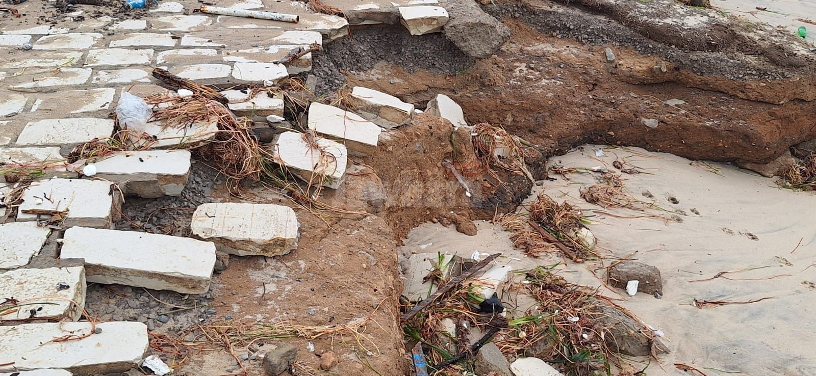 WhatsApp Image 2026-01-21 at 10.54.42.jpeg