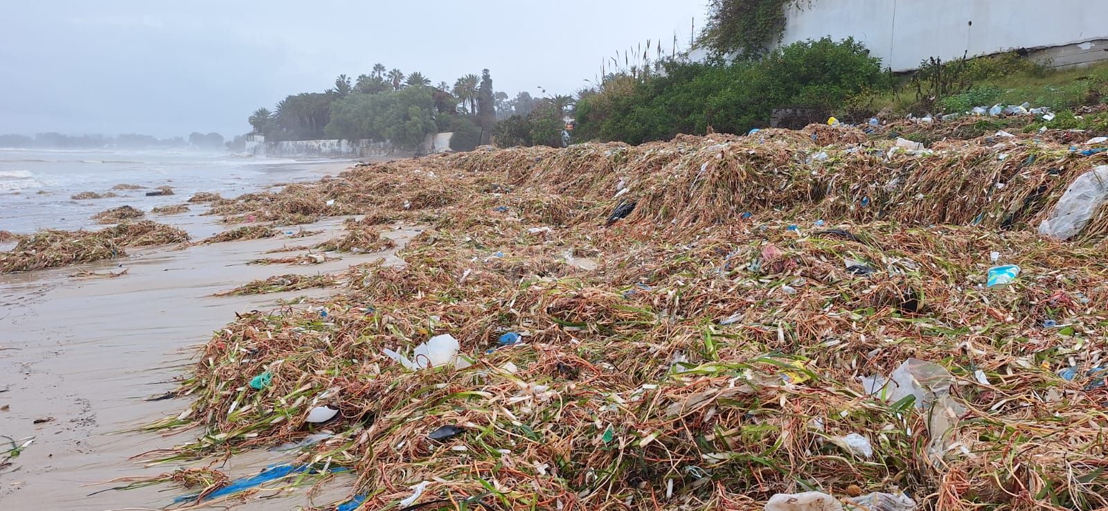 WhatsApp Image 2026-01-21 at 10.54.43 (1).jpeg