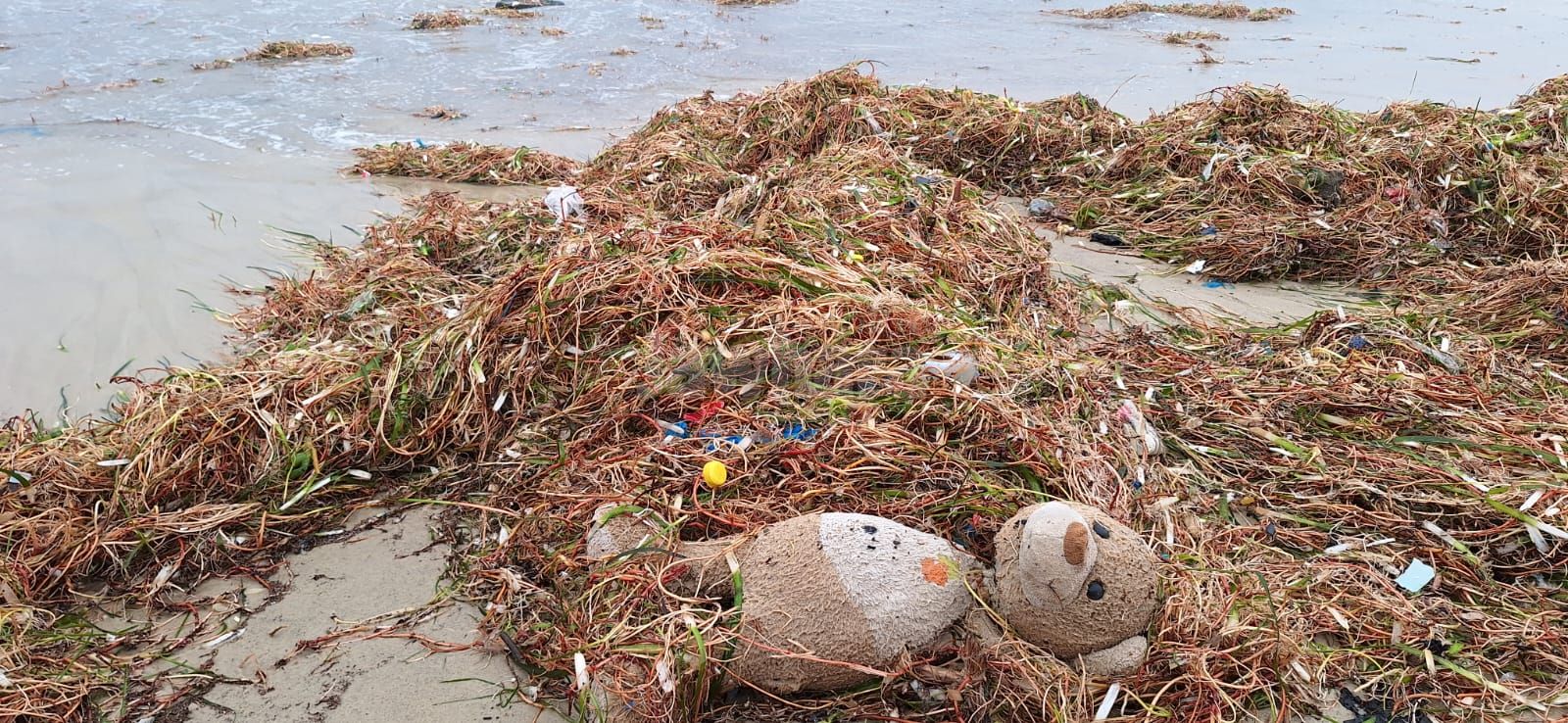 WhatsApp Image 2026-01-21 at 10.54.43 (2).jpeg