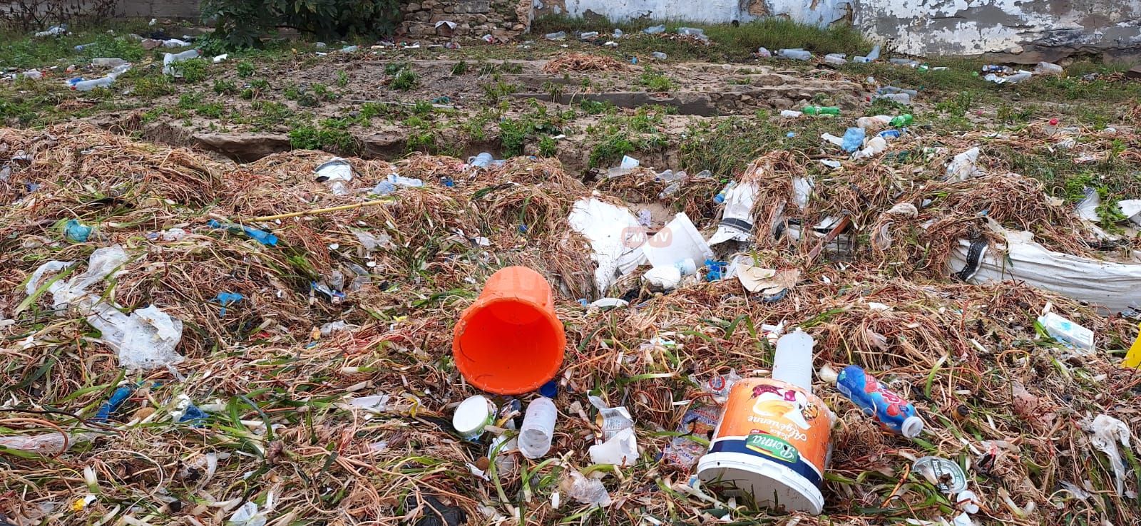 WhatsApp Image 2026-01-21 at 10.54.43.jpeg