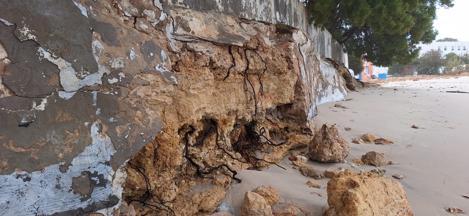 WhatsApp Image 2026-01-21 at 10.54.44 (1).jpeg