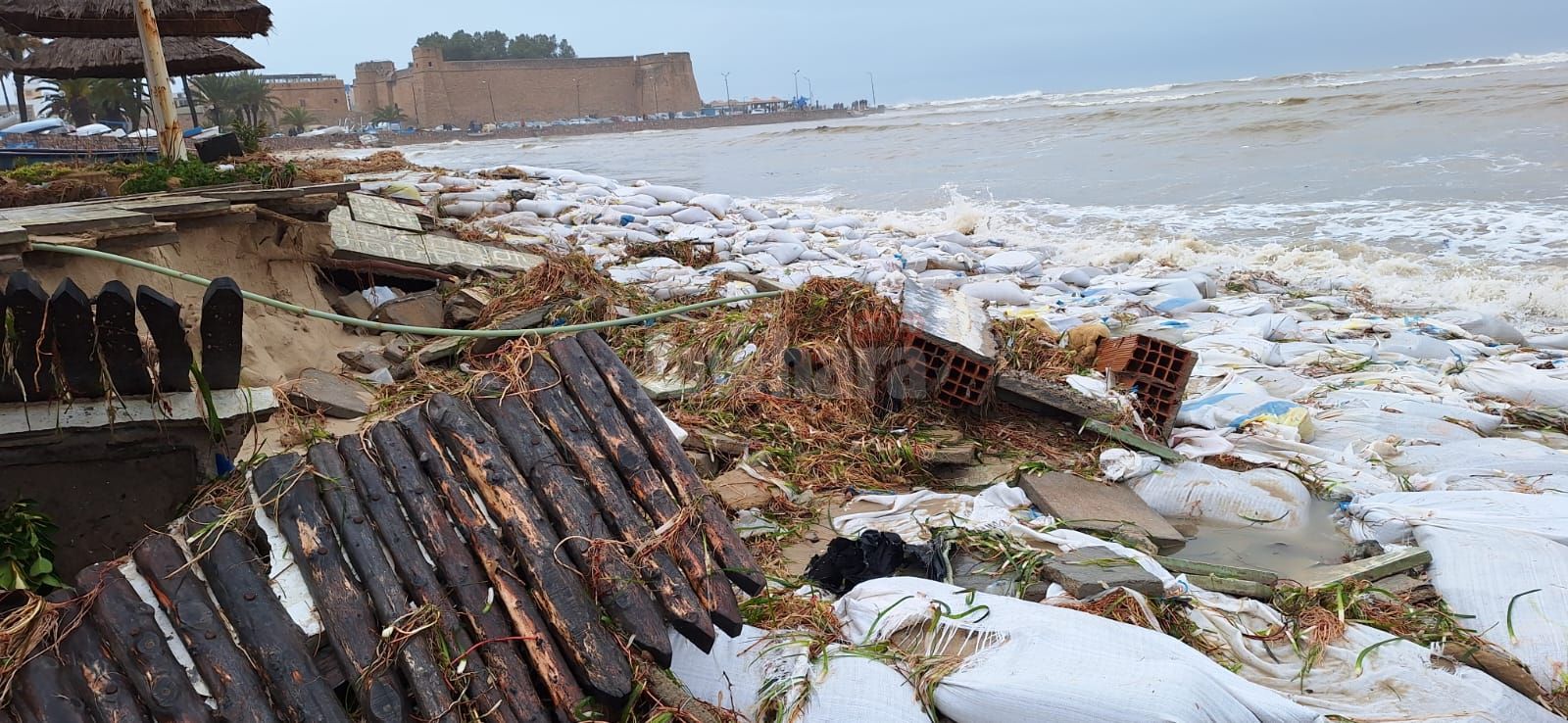 WhatsApp Image 2026-01-21 at 10.54.44 (2).jpeg