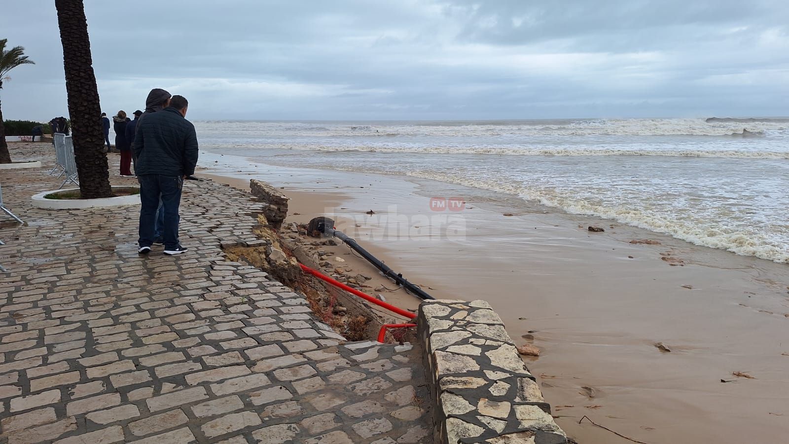 WhatsApp Image 2026-01-21 at 10.54.47.jpeg