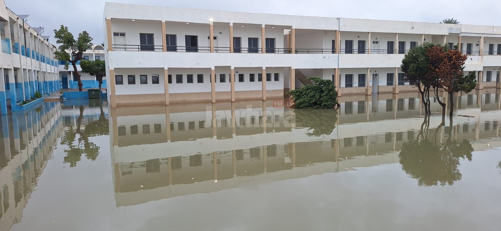 WhatsApp Image 2026-01-21 at 10.54.49.jpeg