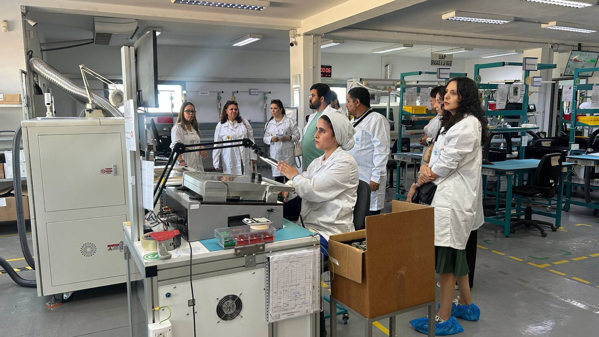 8e.jpg