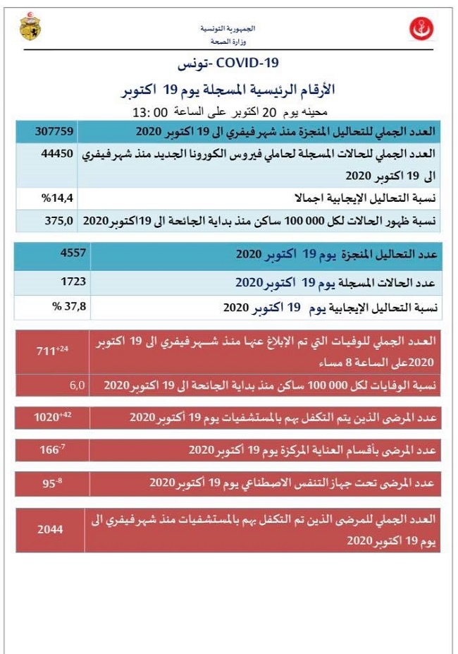 650.jpg