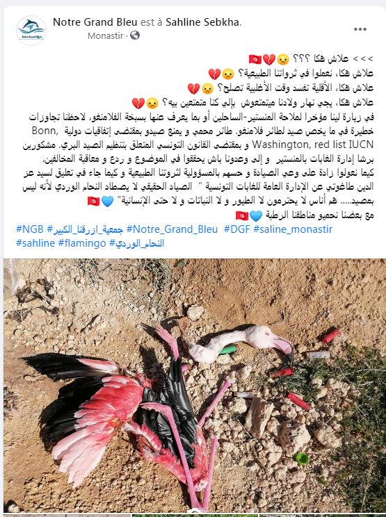المنستير.png
