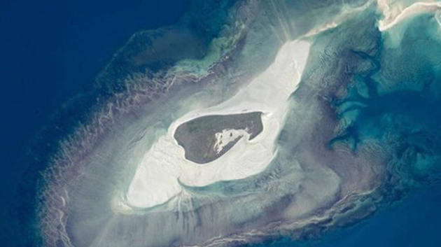 img 3.jpg