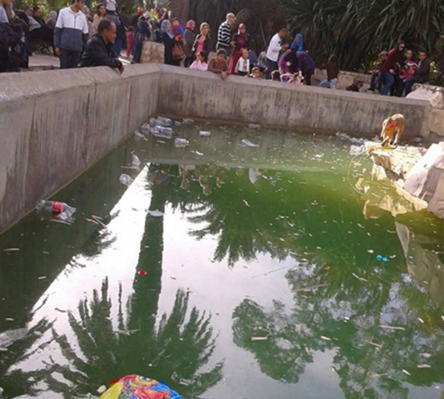 zoo 1.jpg
