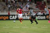 IMG_5381.JPG