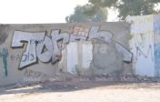 DSC_1557.JPG