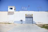 habs 20 12-04-2016 15-47.JPG