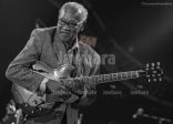 #8 Concert - Ernrest Ranglin  - Y.Hamiddine -sans titre-19.JPG