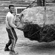ali-rock.jpg