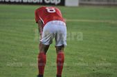 DSC_5881.jpg