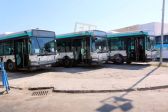 abbessii 15 03-09-2016 20-33.jpg