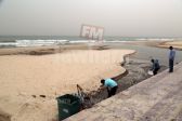 chokri 3 14-10-2016 16-00.JPG