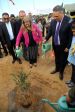 Chojra 5 13-11-2016 11-54.JPG