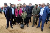 Chojra 8 13-11-2016 11-54.JPG