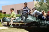 Eco Village 14 30-04-2017 13-53.JPG