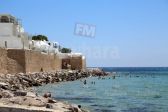 rayes 10 30-07-2017 14-45.JPG