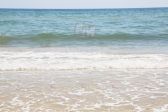 IMG_4523.JPG