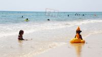 IMG_4531.JPG