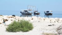IMG_4551.JPG