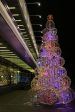 image00034.jpeg