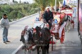 special  mouled30-11-2017 6-43-02 PM CET 37.JPG