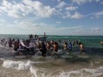 IMG_20180101_113845.jpg