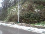20180210_122919.jpg