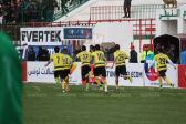 1V9A3953.JPG