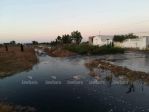 haouaria _ pollution 1.jpg