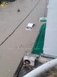 FB_IMG_1535105071397.jpg