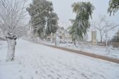 DSC_1148.JPG
