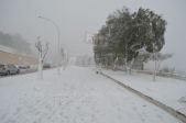DSC_1163.JPG