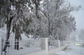 DSC_1169.JPG