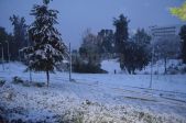 DSC_1216.JPG
