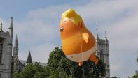 trum1.jpg