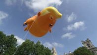 trum2.jpg