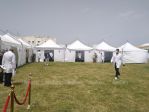 IMG_20210426_123230.jpg